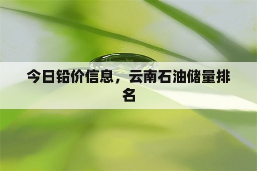 今日铅价信息，云南石油储量排名