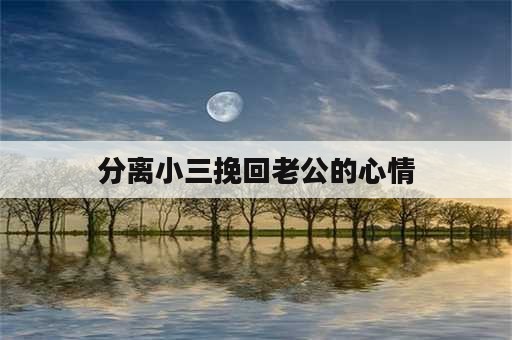 分离小三挽回老公的心情