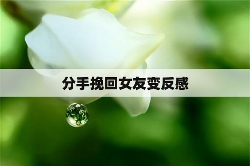 分手挽回女友变反感