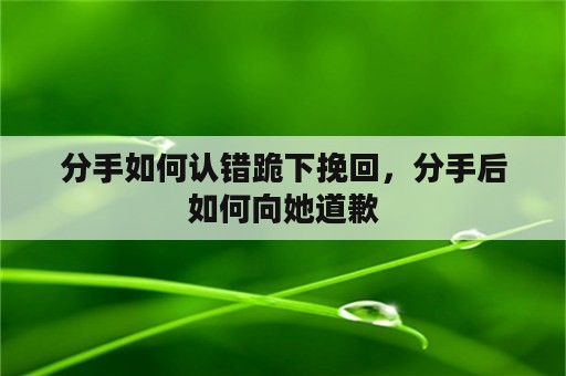 分手如何认错跪下挽回，分手后如何向她道歉