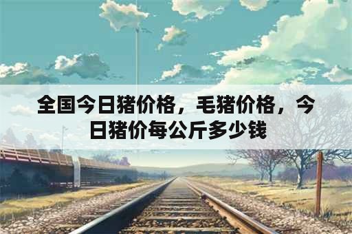 全国今日猪价格，毛猪价格，今日猪价每公斤多少钱