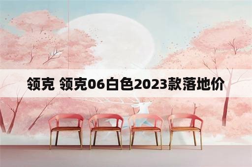 领克 领克06白色2023款落地价