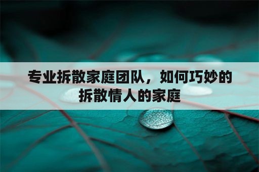 专业拆散家庭团队，如何巧妙的拆散情人的家庭