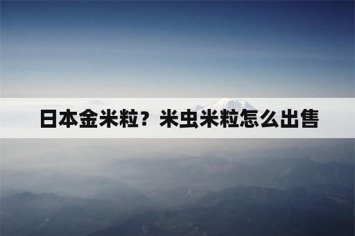 日本金米粒？米虫米粒怎么出售