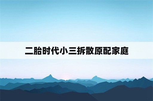 二胎时代小三拆散原配家庭