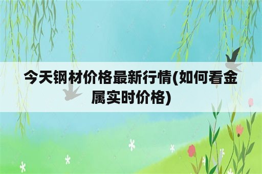 今天钢材价格最新行情(如何看金属实时价格)