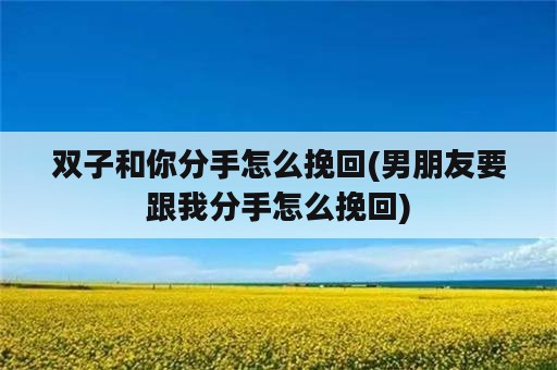 双子和你分手怎么挽回(男朋友要跟我分手怎么挽回)