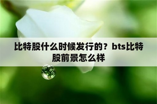 比特股什么时候发行的？bts比特股前景怎么样