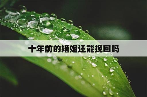 十年前的婚姻还能挽回吗