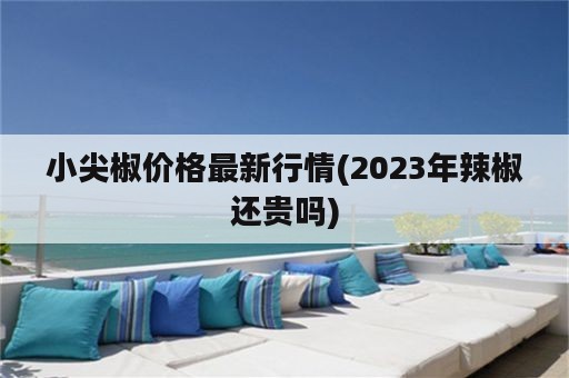 小尖椒价格最新行情(2023年辣椒还贵吗)