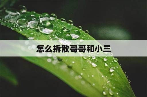 怎么拆散哥哥和小三