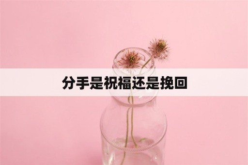 分手是祝福还是挽回