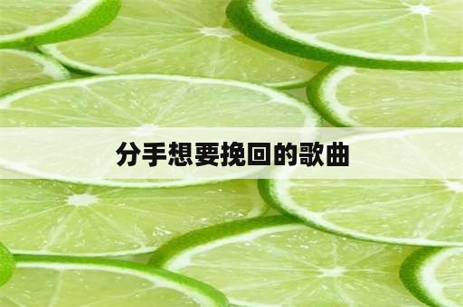 分手想要挽回的歌曲