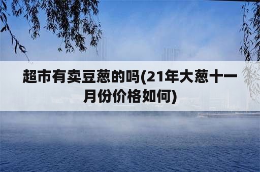 超市有卖豆葱的吗(21年大葱十一月份价格如何)