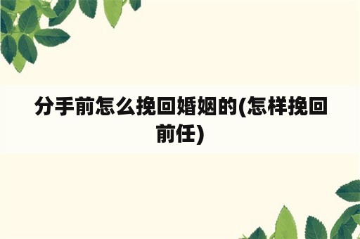 分手前怎么挽回婚姻的(怎样挽回前任)