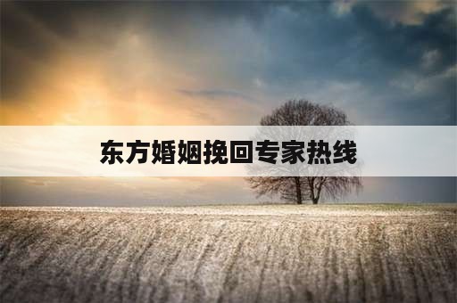 东方婚姻挽回专家热线