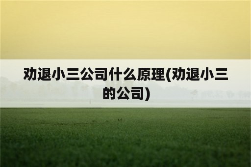 劝退小三公司什么原理(劝退小三的公司)