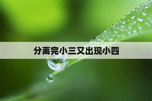 分离完小三又出现小四