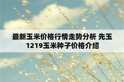 最新玉米价格行情走势分析 先玉1219玉米种子价格介绍