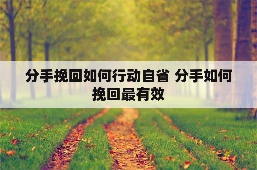 分手挽回如何行动自省 分手如何挽回最有效