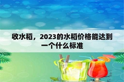 收水稻，2023的水稻价格能达到一个什么标准