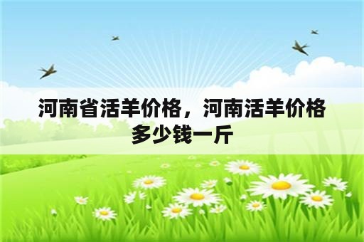 河南省活羊价格，河南活羊价格多少钱一斤