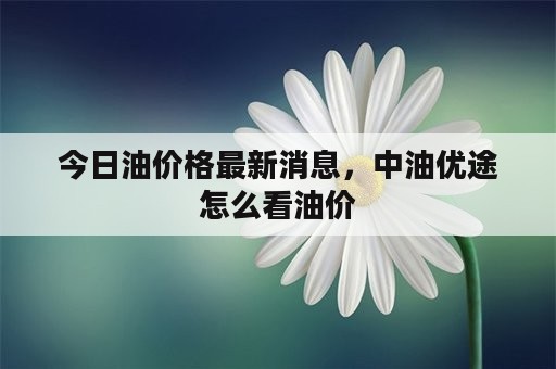 今日油价格最新消息，中油优途怎么看油价