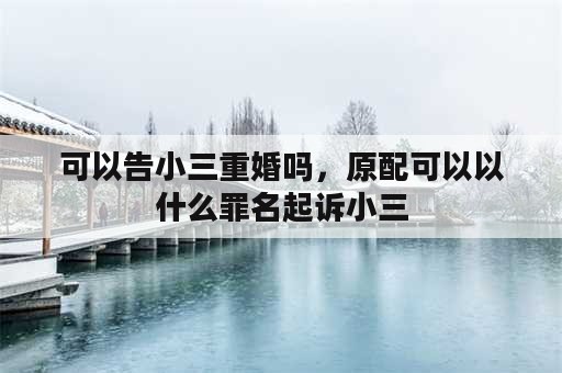 可以告小三重婚吗，原配可以以什么罪名起诉小三