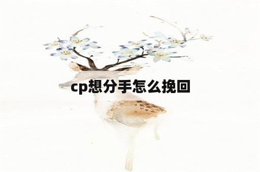 cp想分手怎么挽回