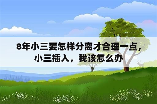 8年小三要怎样分离才合理一点，小三插入，我该怎么办