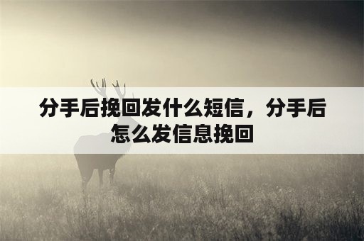 分手后挽回发什么短信，分手后怎么发信息挽回