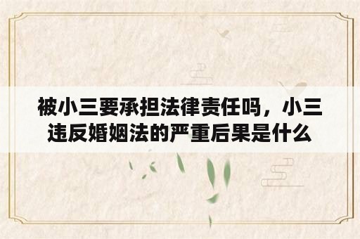 被小三要承担法律责任吗，小三违反婚姻法的严重后果是什么