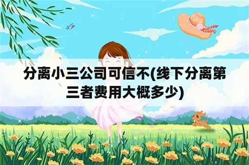 分离小三公司可信不(线下分离第三者费用大概多少)