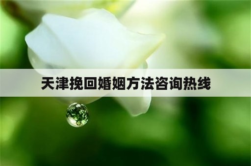 天津挽回婚姻方法咨询热线