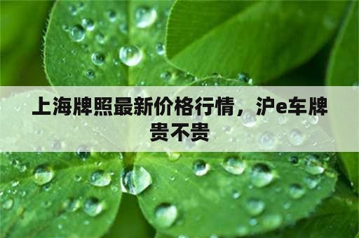 上海牌照最新价格行情，沪e车牌贵不贵