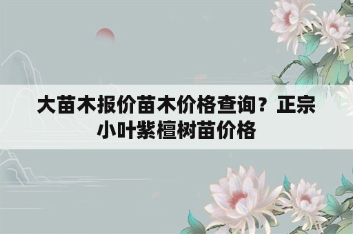 大苗木报价苗木价格查询？正宗小叶紫檀树苗价格