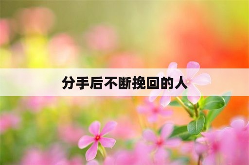 分手后不断挽回的人