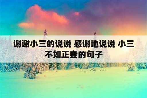 谢谢小三的说说 感谢地说说 小三不如正妻的句子