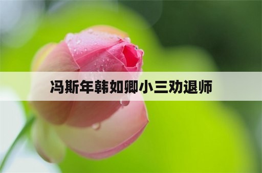 冯斯年韩如卿小三劝退师