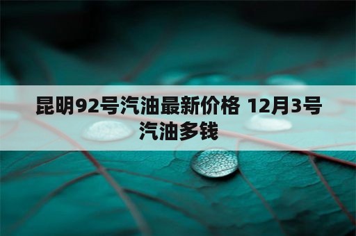 昆明92号汽油最新价格 12月3号汽油多钱