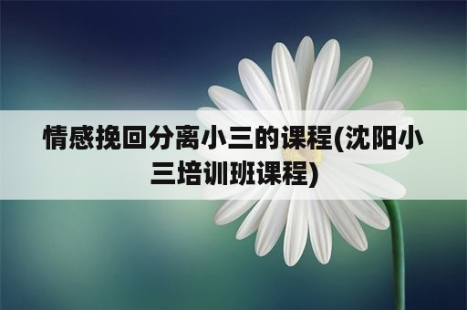 情感挽回分离小三的课程(沈阳小三培训班课程)