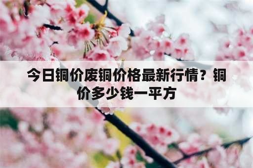 今日铜价废铜价格最新行情？铜价多少钱一平方