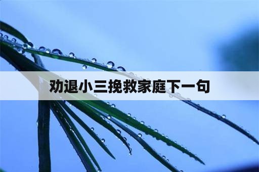 劝退小三挽救家庭下一句