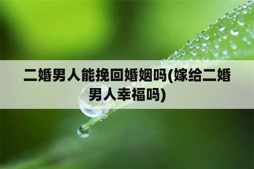 二婚男人能挽回婚姻吗(嫁给二婚男人幸福吗)