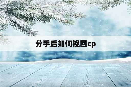 分手后如何挽回cp