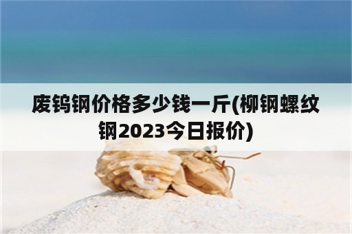 废钨钢价格多少钱一斤(柳钢螺纹钢2023今日报价)