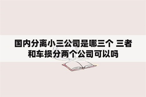 国内分离小三公司是哪三个 三者和车损分两个公司可以吗