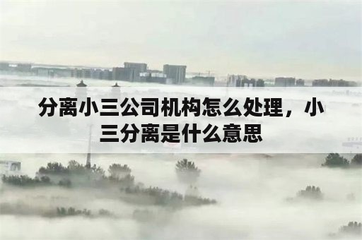 分离小三公司机构怎么处理，小三分离是什么意思