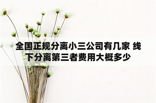 全国正规分离小三公司有几家 线下分离第三者费用大概多少