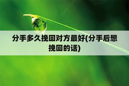 分手多久挽回对方最好(分手后想挽回的话)